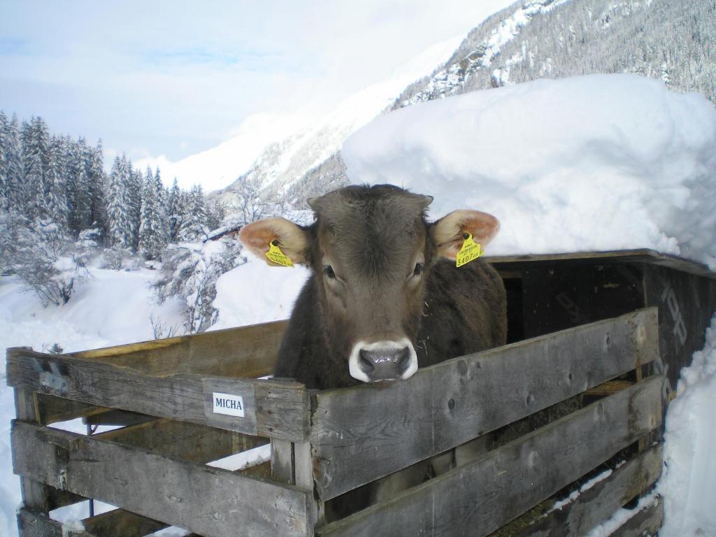 Hotel Haus Boedele Sankt Leonhard im Pitztal Esterno foto